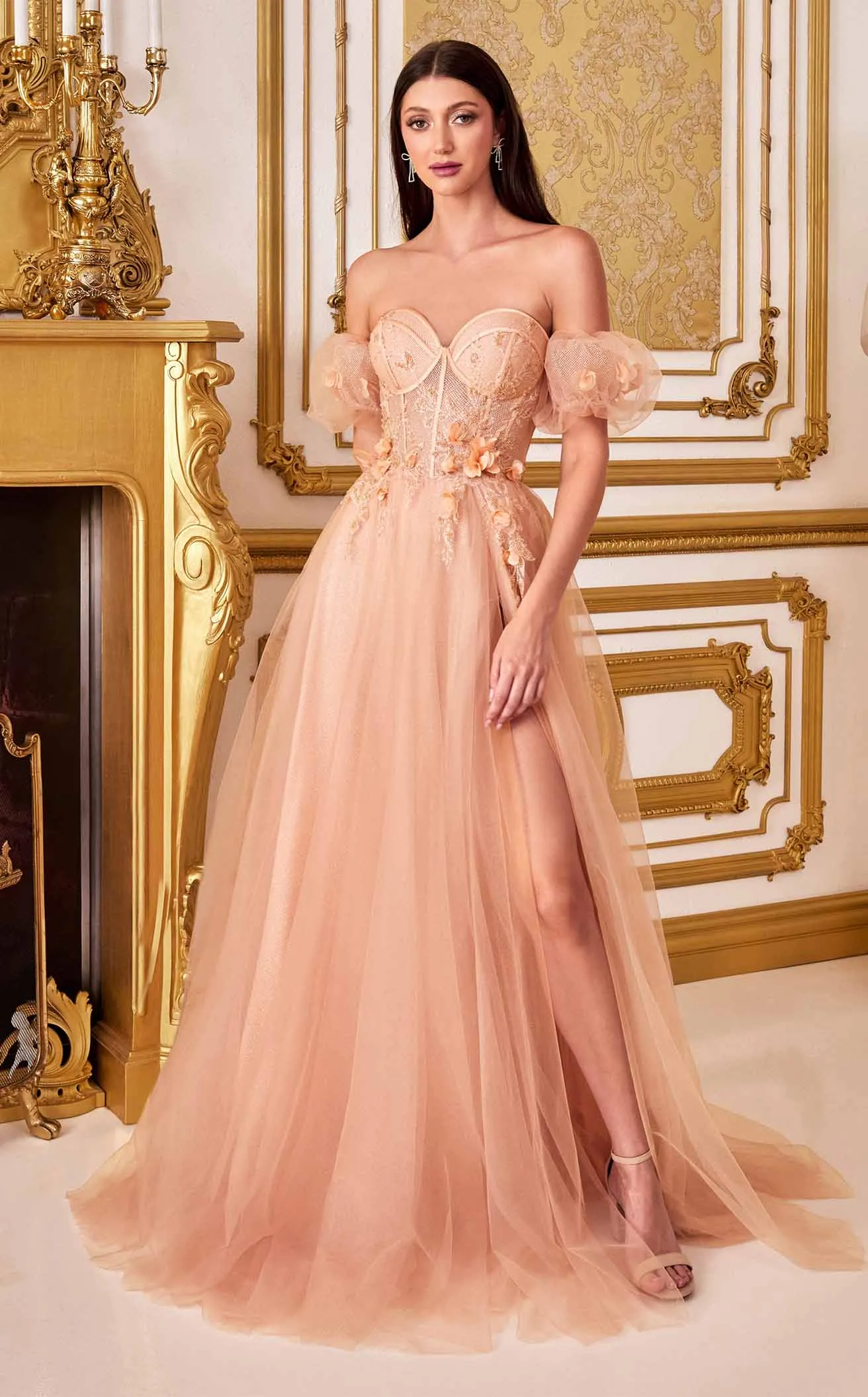 Cinderella Divine CB080 Dress